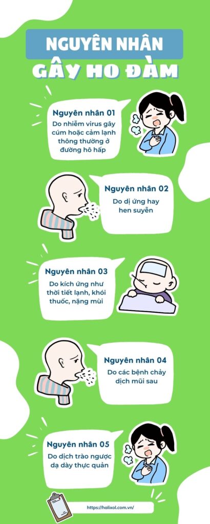 Nguyên nhân gây ho đàm